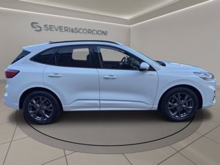 FORD Kuga 2.0 ecoblue st-line x 2wd 120cv auto