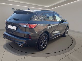 FORD Kuga 1.5 ecoblue ST-Line 2wd 120cv