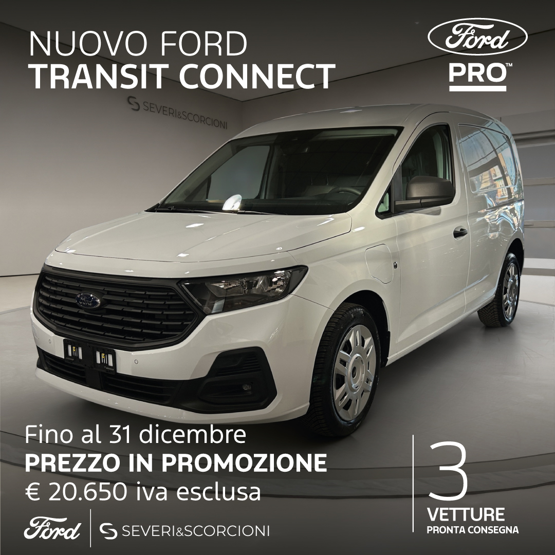 202512 CV REALI TR.CONNECT