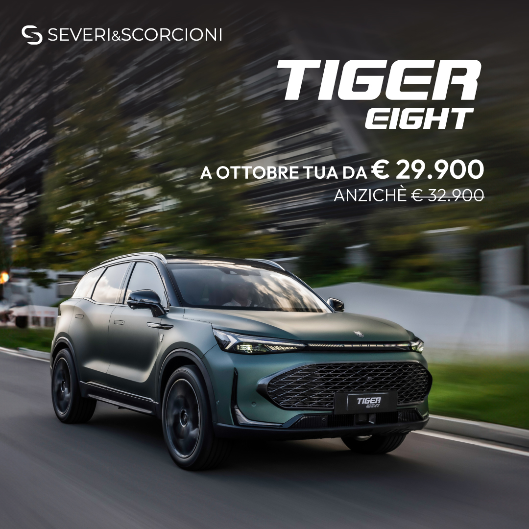 202610 TIGER EIGHT