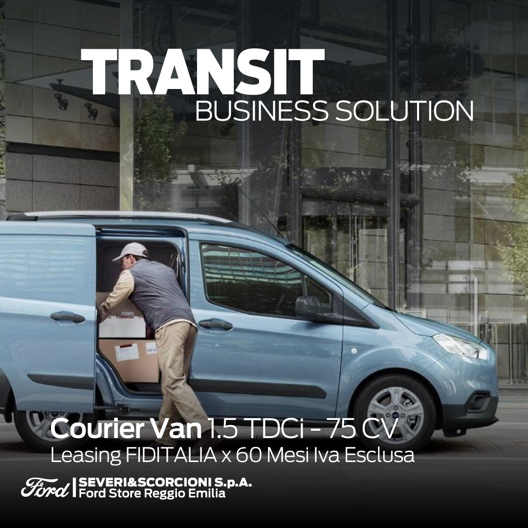 BUSINESS SOLUTION CV COURIER VAN (1)